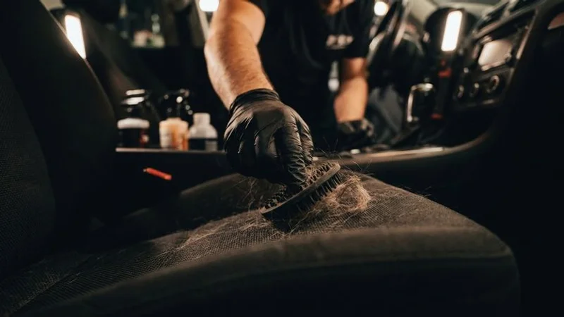 Pet Hair Removal from Car