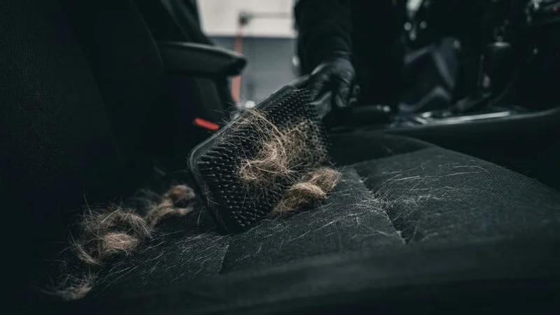 Rubber bristle brush being used to agitate and lift embedded pet hair from car seat